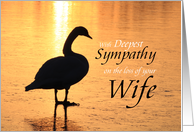 Swan Silhouette Sympathy For Loss Of Wife card