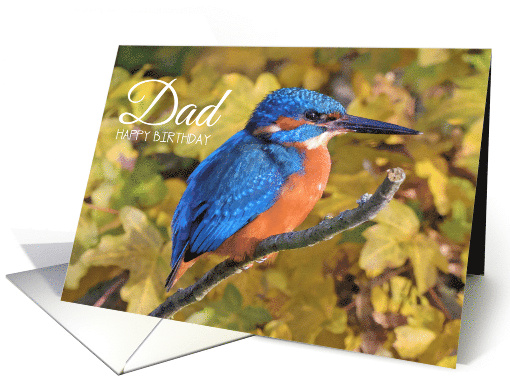Dad Happy Birthday Kingfisher card (1884346)