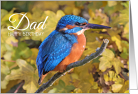 Dad Happy Birthday Kingfisher card
