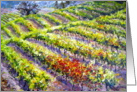 Fall Vineyard card