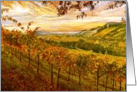 Autumn--Fall--Vineyard--Wine Country--Sunrise card