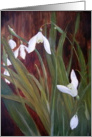 Snowdrops card