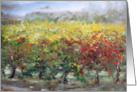 Yellow Vineyard On Foggy Morning card