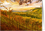 Autumn--Fall--Vineyard--Wine Country--Sunrise card