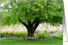 Happy Summer Solstice Tree card