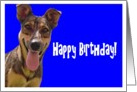 Happy Birthday Happy Dog card