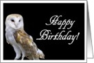 Happy Birthday Snowy owl card