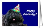 Happy Birthday Puli Dog with Birthday Hat card
