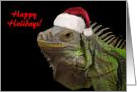 Happy Holidays Iguana with Santa Hat card