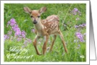 Happy Ostara Baby Deer card