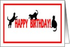 Happy Birthday, Black Cats on Red Letters card