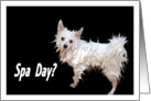 Spa Day Soapy Dog Invitation card