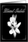 Blessed Imbolc White Flowers card