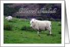 Blessed Imbolc Sheep card