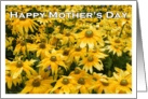 Happy Mother’s Day Garden of Yellow Flowers card