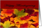 Happy Thanksgiving Autumn Leaves card