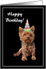 Happy Birthday Yorkshire Terrier with Birthday Hat card