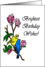 Brightest Birthday Wishes Song Birds card