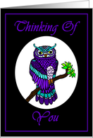 Thinking of You Purple Owl card