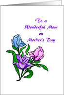 To a Wonderful Mom on Mother’s Day Flowers card