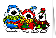 Merry Christmas Three Polar Bears card
