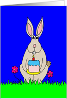 Happy Birthday Bunny...