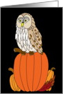 Mabon Blessings Owl on Pumpkins card