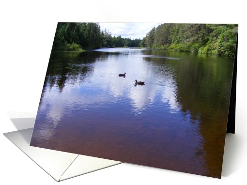 Peaceful Lake with Ducks Thinking of You card (803152)
