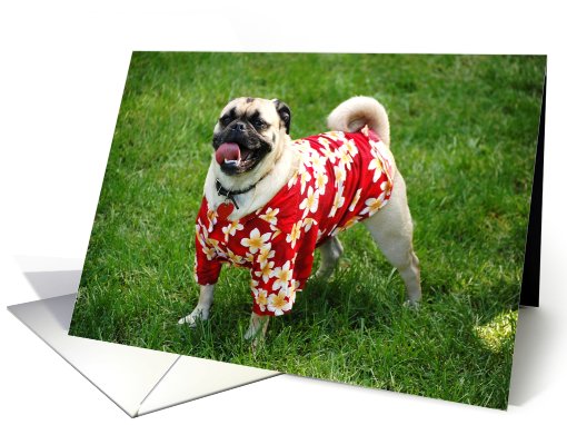 Happy Birthday Party Time Pug card (808736)