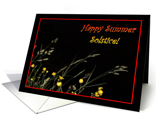 Happy Summer Solstice Night Time Flowers card (810698)