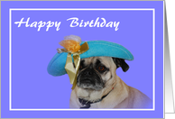 Happy Birthday Pug card