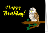 Happy Birthday Owl card