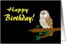 Happy Birthday Owl card