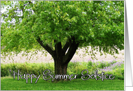 Happy Summer Solstice Tree card