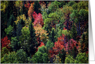 Happy Mabon Autumn Trees card