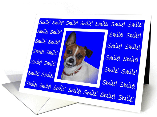 Smiling Chihuahua Encouragement card (829955)