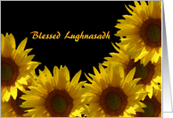 Blessed Lughnasadh...