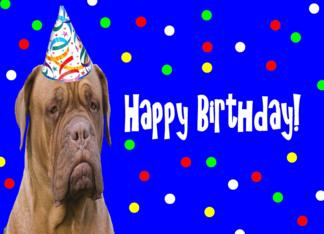 Happy Birthday Dogue...