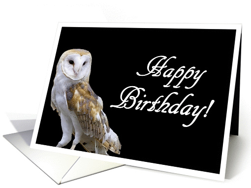 Happy Birthday Snowy owl card (837553)
