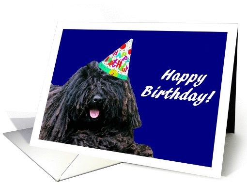 Happy Birthday Puli Dog with Birthday Hat card (837794)