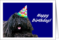 Happy Birthday Puli Dog with Birthday Hat card