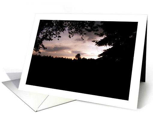 Thinking of You Trees and Sky at Dusk card (838061)