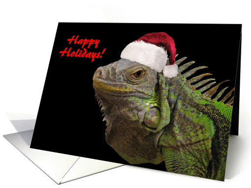 Happy Holidays Iguana with Santa Hat card (854636)