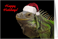 Happy Holidays Iguana with Santa Hat card