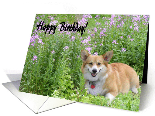 Happy Birthday Welsh Corgi with Purple Flowers card (854642)