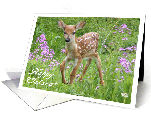 Happy Ostara Baby Deer card (862904)