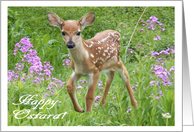 Happy Ostara Baby Deer card