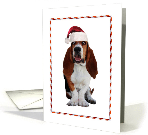 Christmas Basset Hound with a Santa Hat card (871568)