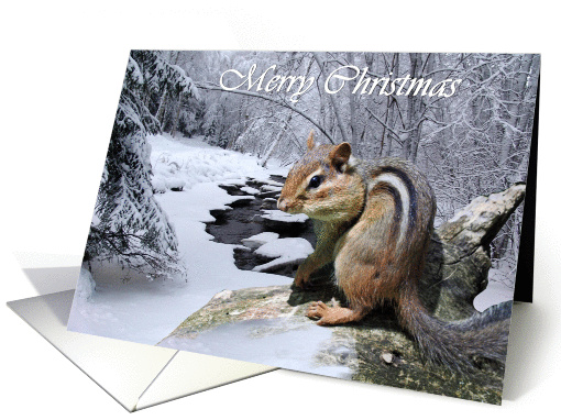 Merry Christmas Chipmunk in a Snowy Forest card (873949)