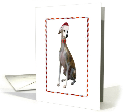 Christmas Happy Holidays Greyhound in a Santa Hat card (877812)